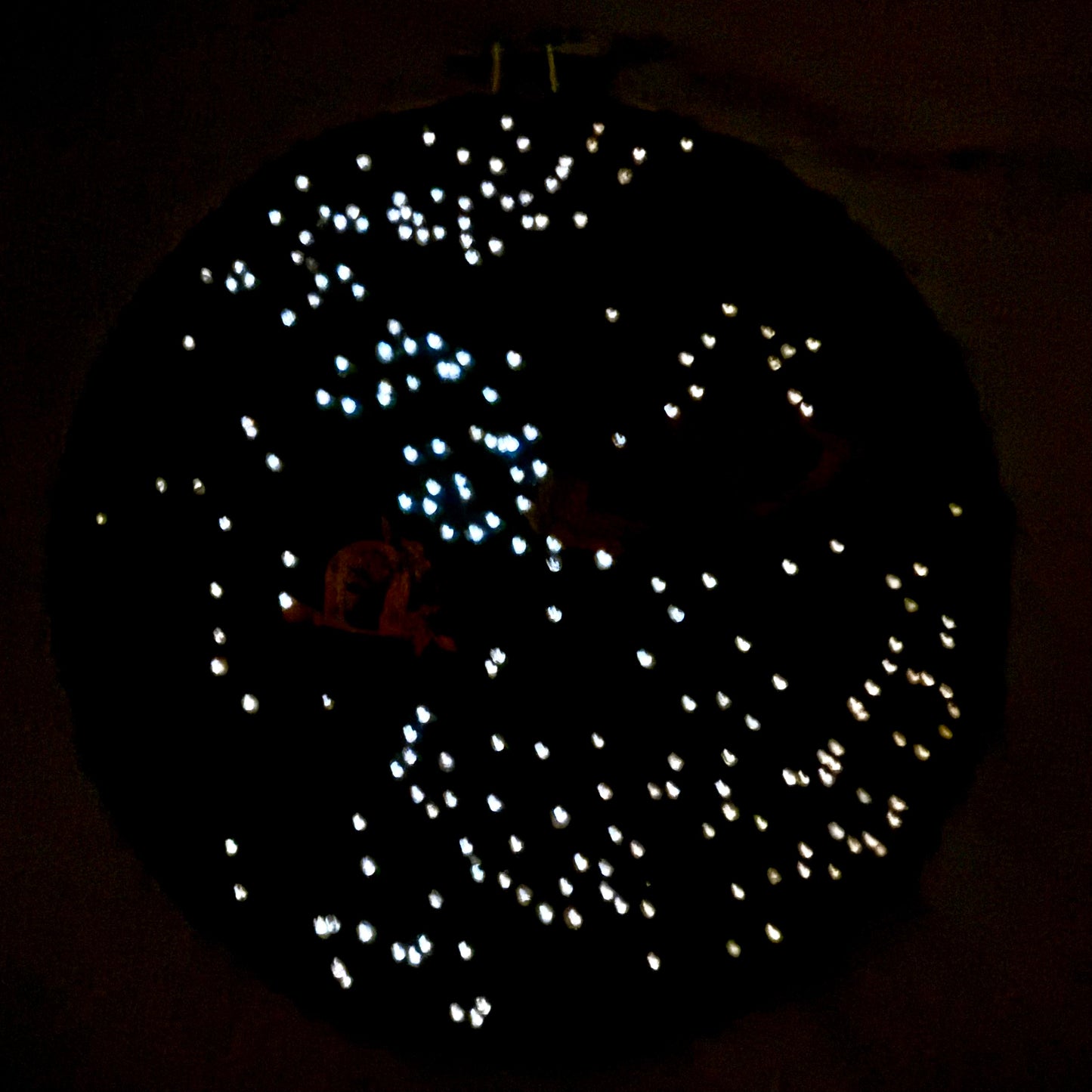 Goes to Outer Space | Embroidery